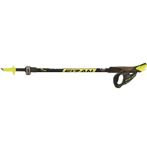 Fizan R-Evolution Nordic Walking hole yellow