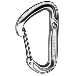 Mammut Wall Light silver
